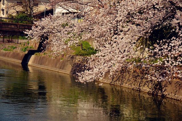 Art Stay In Tofukuji Kyoto Luaran gambar