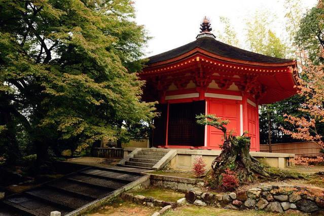 Art Stay In Tofukuji Kyoto Luaran gambar
